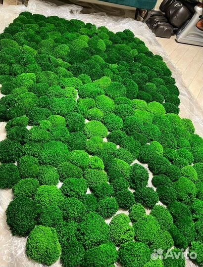 Отличный натуральный мох для декора