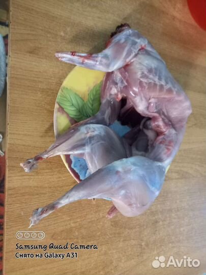 Консервы домашние