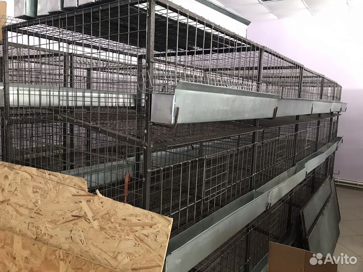 Клетки для кур