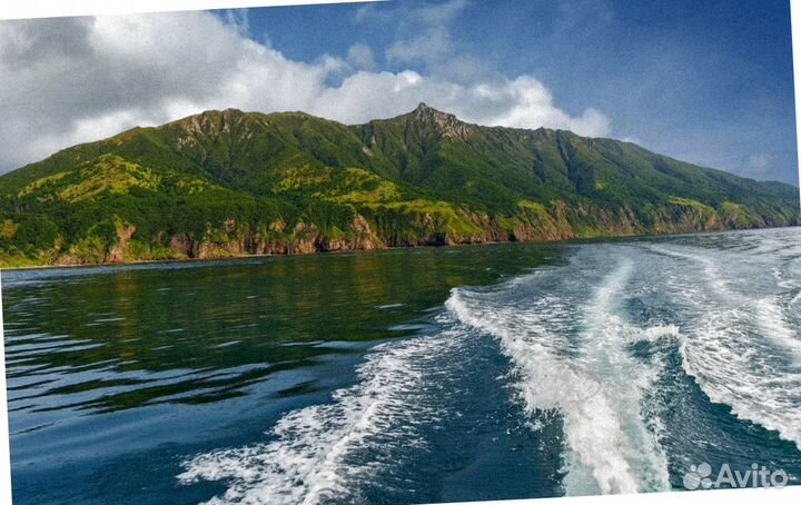 Путевка Сахалин летом экспедиции до 8 дн