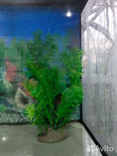 Аквариум 40 литров