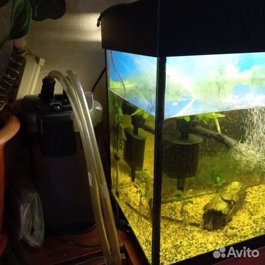 Аквариум