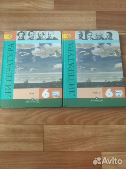 Учебник Литература 6 класс 2 части