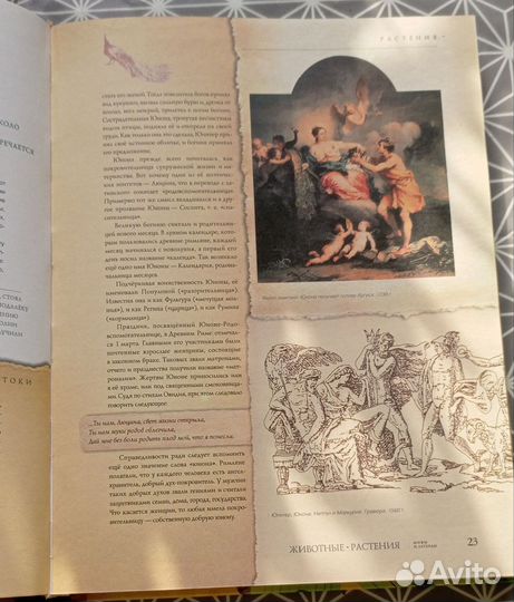 Книга о растениях и животных. Мифы и легенды