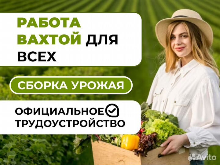 Сбор урожая женщины. ТК устройство