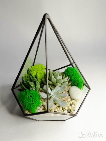 Флорариумыподарки