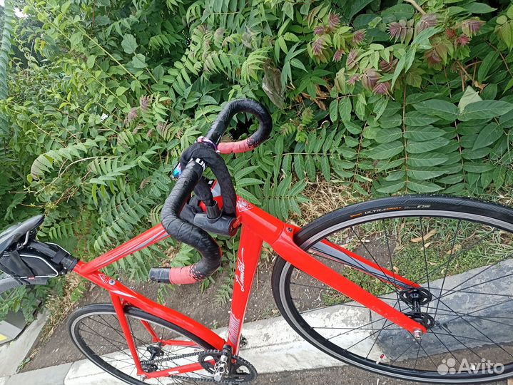 Велосипед Фикс Bearbike Armata