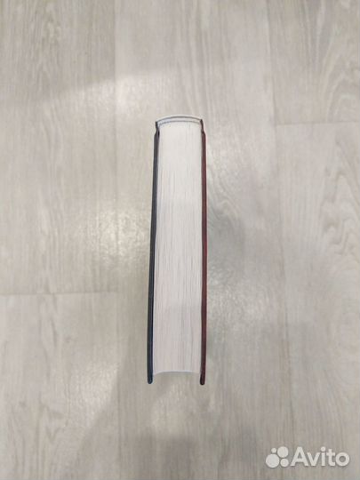 Ханну Райаниеми 