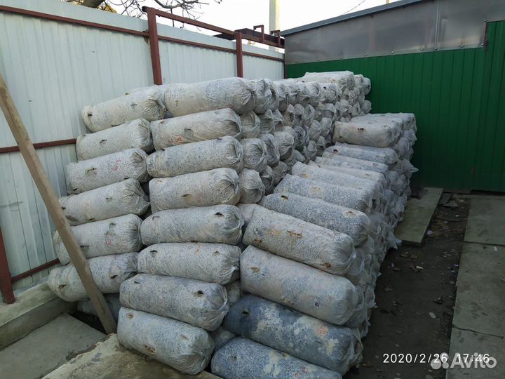 Грибные блоки вешенка