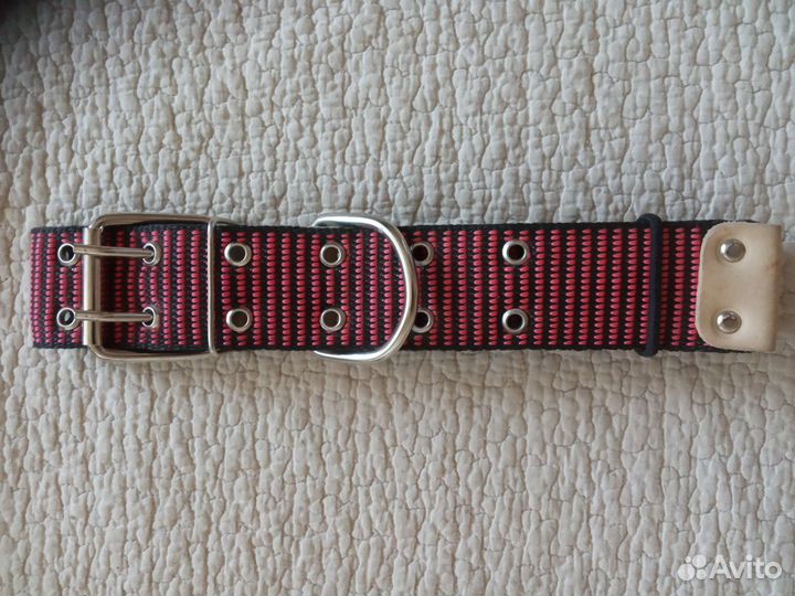 Шлейки и ошейники для собаки