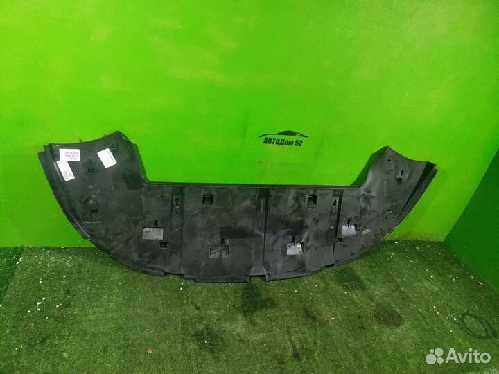 Защита переднего бампера Citroen C4 1