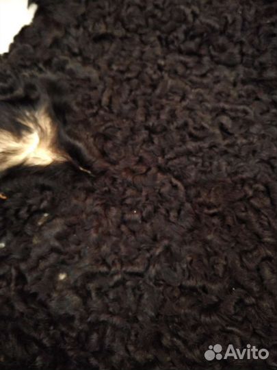 Шкурка каракуль, СССР