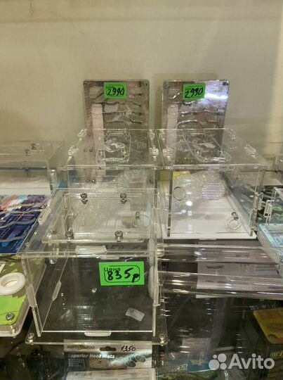 Муравьиная ферма (формикарий) муравьи