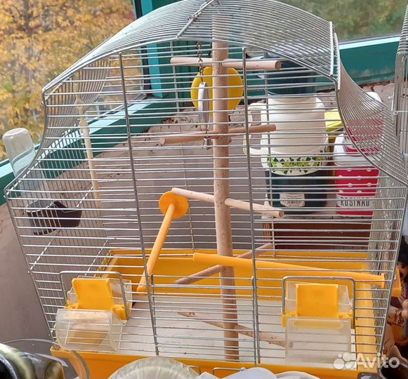 Клетка для попугая