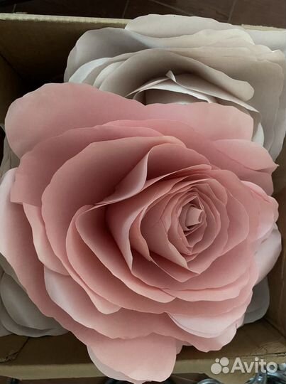 Цветы для декора