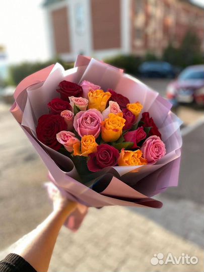 Роза микс кения 101