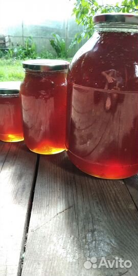 Мед из леса