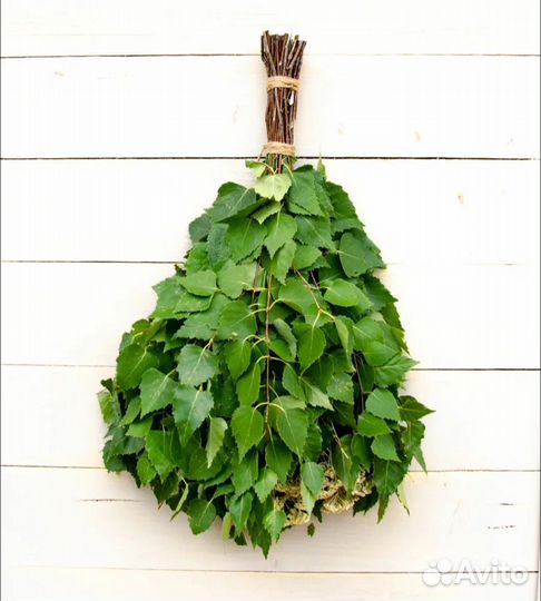 Березовые веники продам