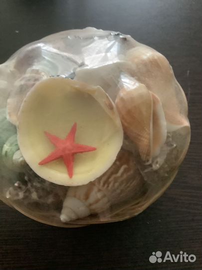 Набор ракушек для творчества декора