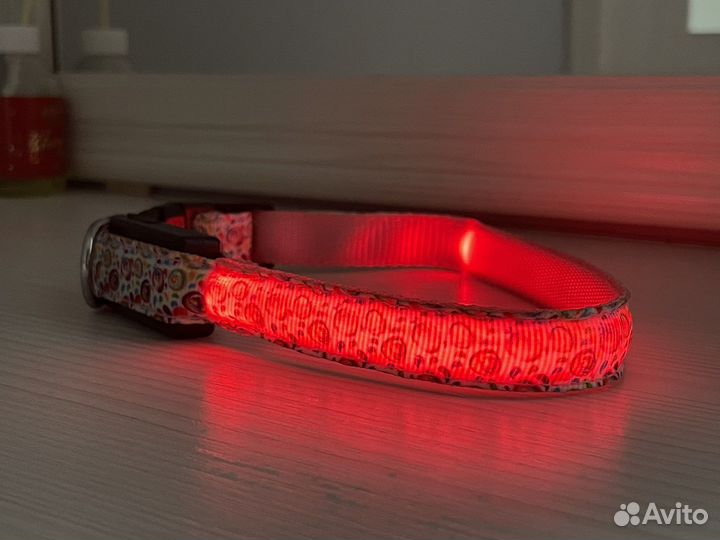 Ошейник светящийся