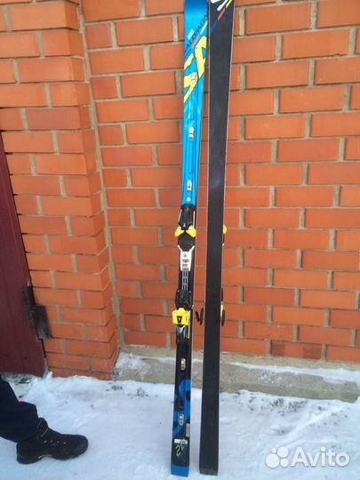 Горные лыжи