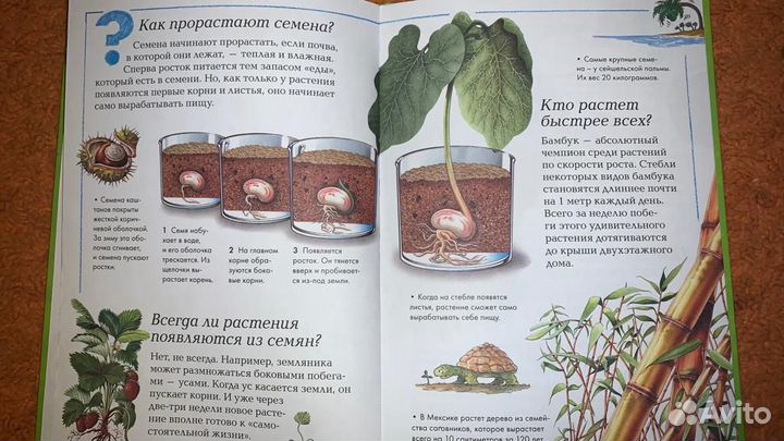 Энциклопедии, деятели, басни, сказки, рассказы