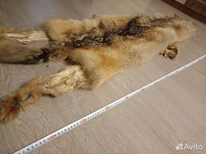 Шкура волка