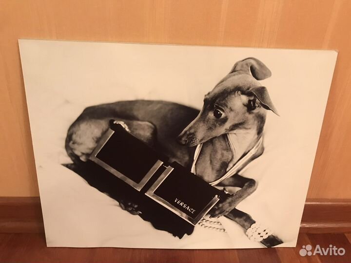 Авторские фотографии