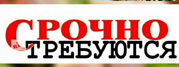 Приемщик,мастер приемщик