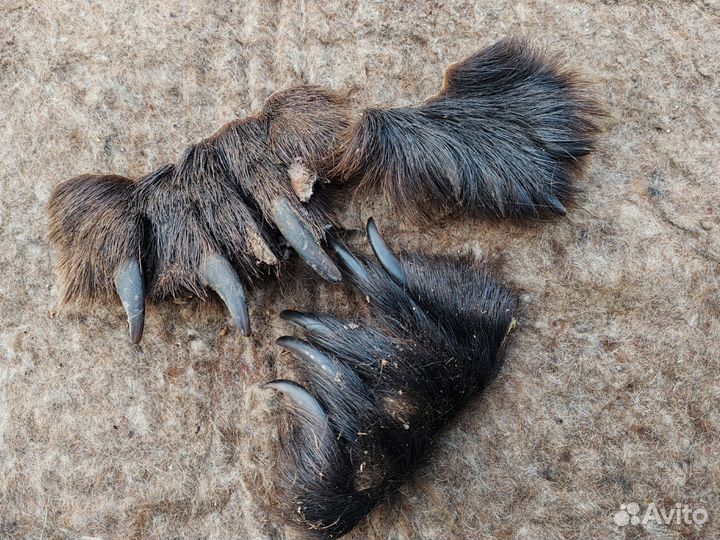 Когти медведя имитация