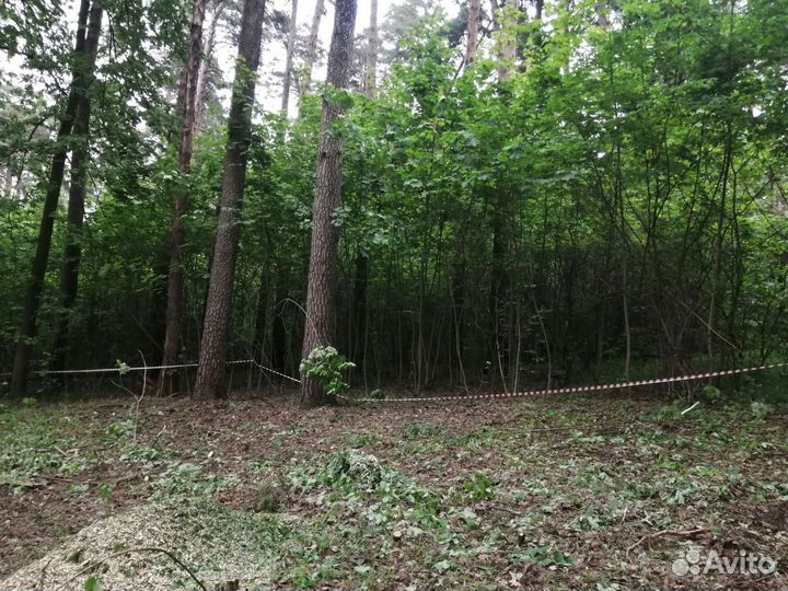 Измельчитель древесины аренда в дмитрове