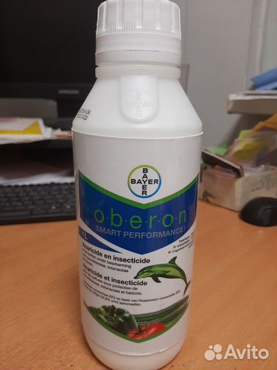 Оберон, Оберон Рапид