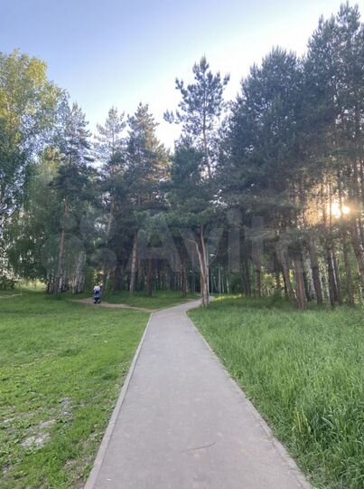 Коттедж 216 м² на участке 5,1 сот.