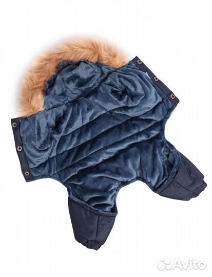 Lion winter зимний комбинезон для собак, унисекс