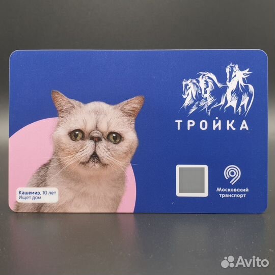 Карта Тройка Кот Кашемир. Проект Хвосты и Лапки