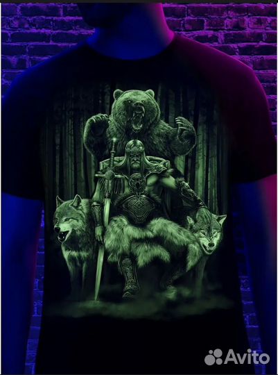 Футболка викинг