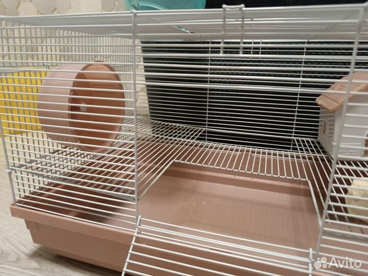 Набор для Дегу