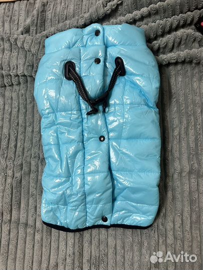 Собачьи вещи