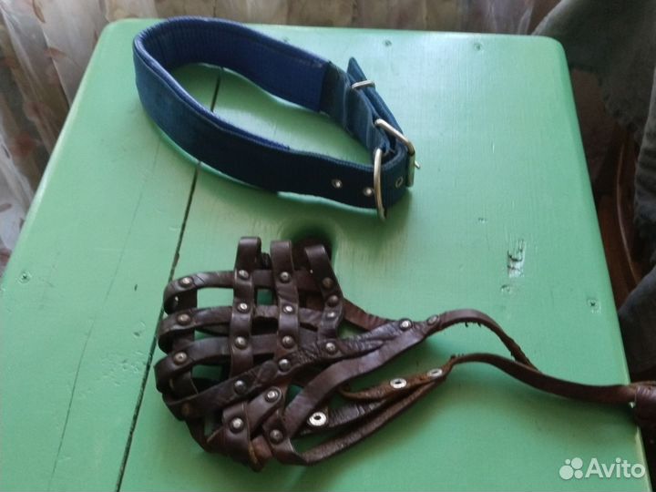 Амуниция для собак