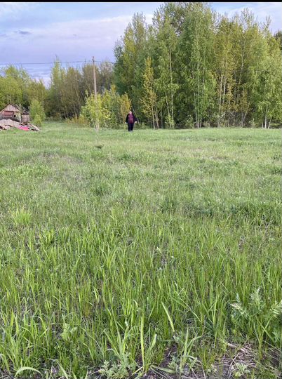 Участок 10 сот. (ИЖС)