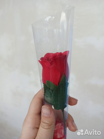 Мыльная роза, красная