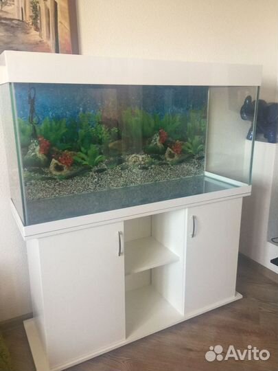Аквариум