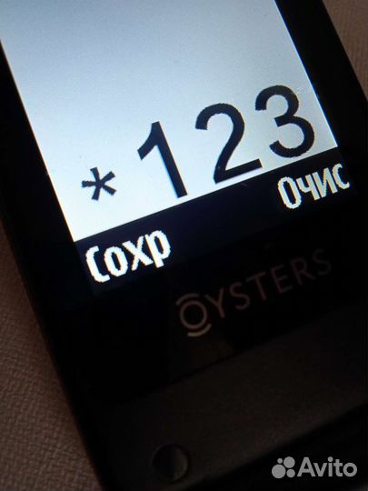 Oysters Ulan-Ude