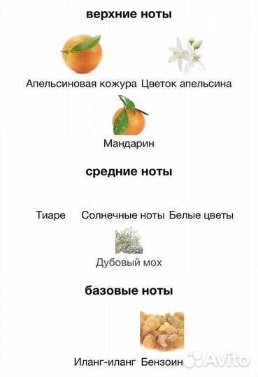 Olympéa Solar Paco Rabanne 80 ml