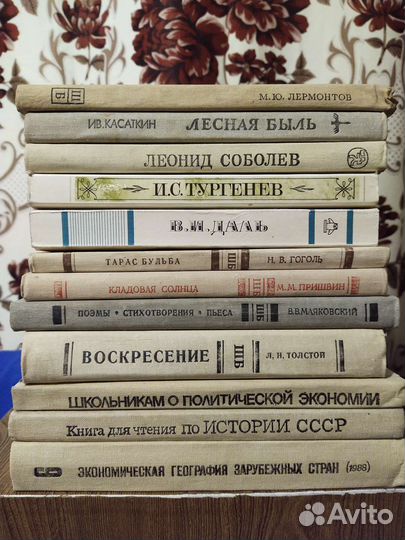 Библиотека школьника