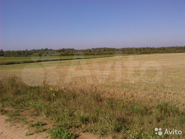 Участок 1,5 га (ИЖС)