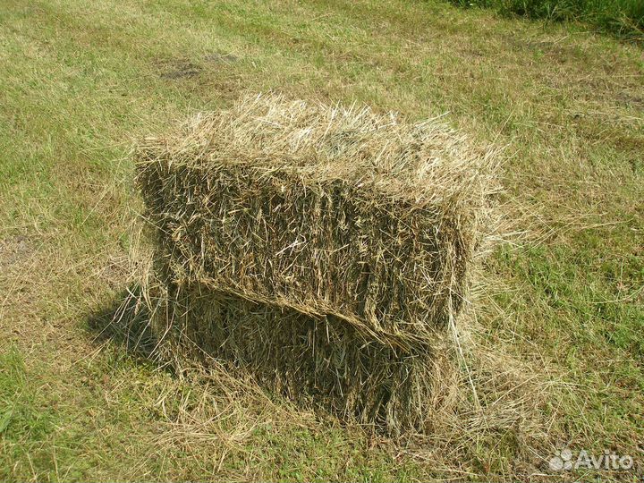 Сено и солома в тюках