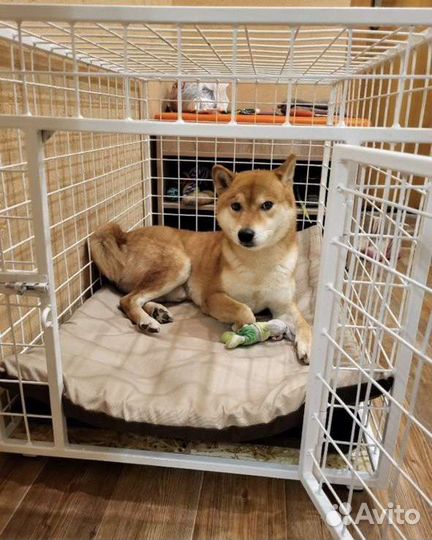 Клетка вольер для собак