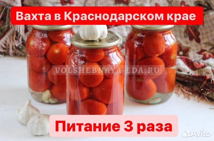 Грузчики/сортировщики консервный завод