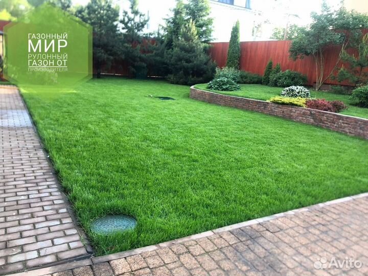 Рулонный газон